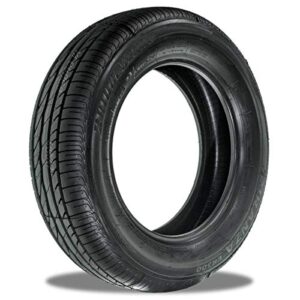 Pneu 205/55r16 aro 16 Bridgestone Turanza ER300 91V