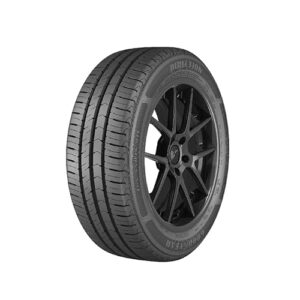 Pneu Aro 16 Goodyear Direction 2 Sport 205/55r16 91v